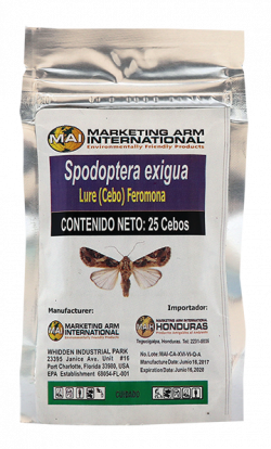 SPODOPTERA EXIGUA-feromona-cebo-control-insectos-plagas-mai-dominicana