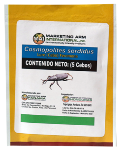 COSMOPOLITES-SORDIDUS-cebos-feromonas-control-insectos-mai-dominicana
