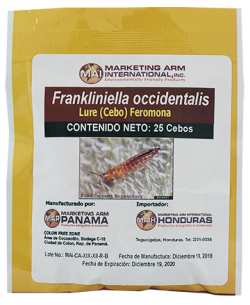 FRANKLINIELLA OCCIDENTALIS-cebos-feromonas-control-insectos-MAI-Dominicana
