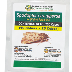 SPODOPTERA-FRUGIPERDA-CEBO